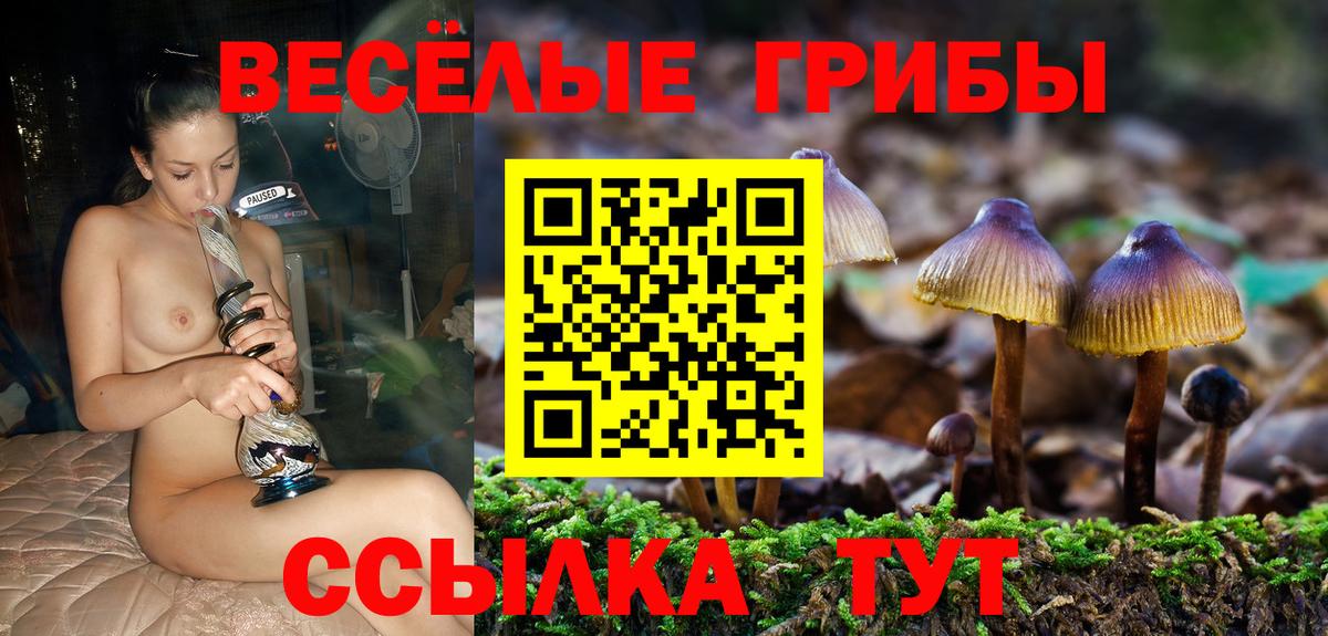 Отрадный  Псилоцибиновые грибы MAGIC MUSHROOMS  Галлюциногенные грибы GOLDEN TEACHER  Вход с VPN 